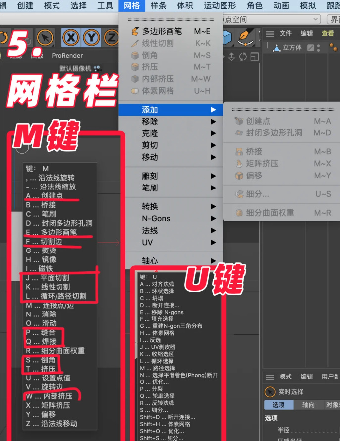 C4D网格栏快捷键