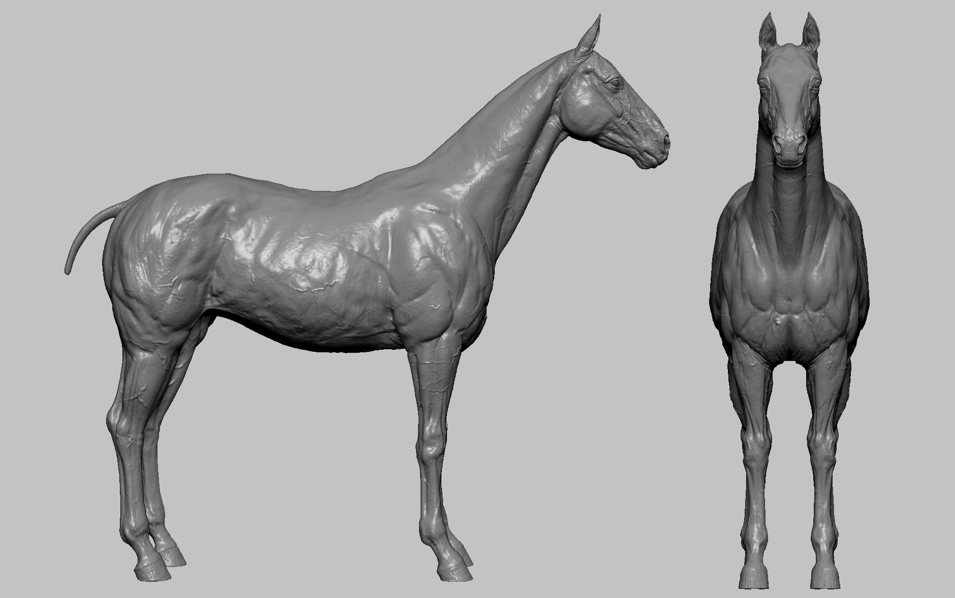 ZBrush 雕刻版的马