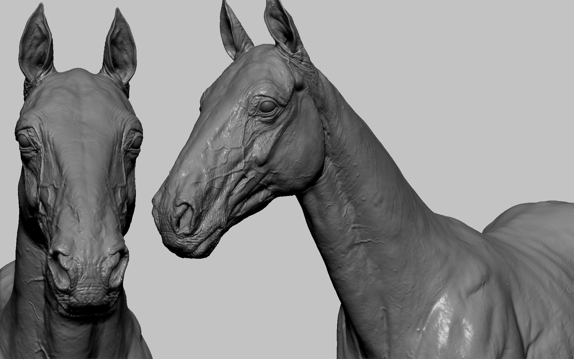 ZBrush 雕刻版的马